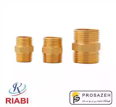 مغزی برنجی ریابی