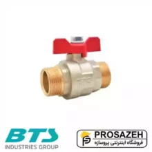 شیر توپی روپیچ BTS